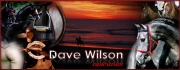 Visit Dave Wilson Equestrian